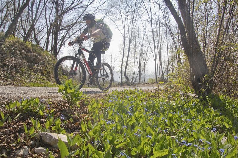 primavera sul grappa