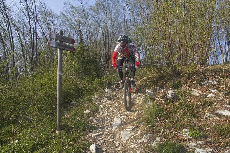 single trail pederobba