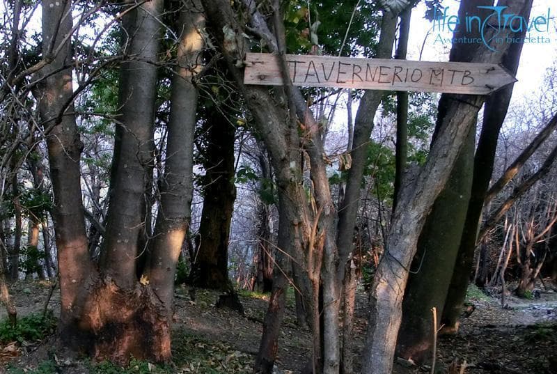 12 TAVERNERIO