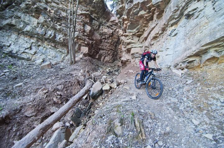 radici in mtb