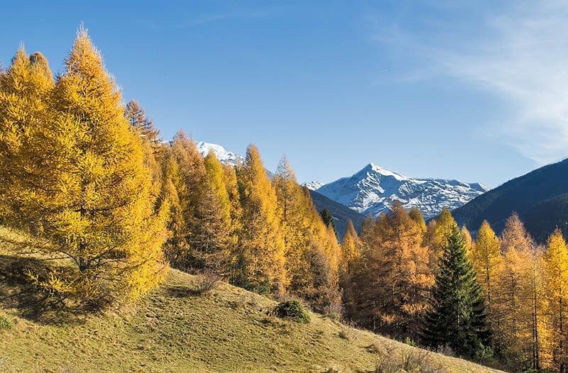 paesaggi valtellina