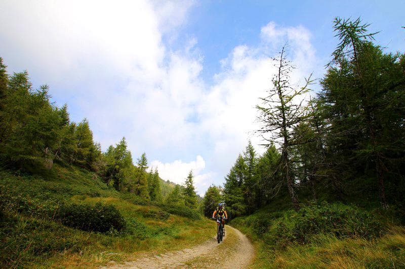strada lizza