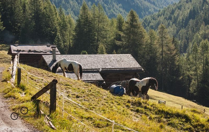 Val Zebrù2