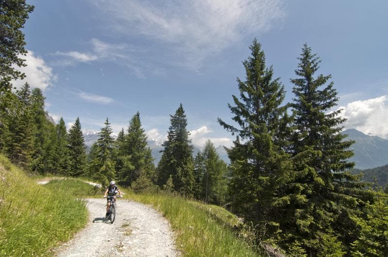 forestale valmalenco mtb