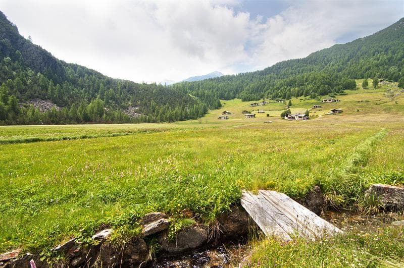piana valmalenco Alpe Lago