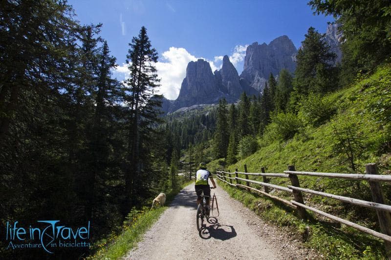 odle in mtb