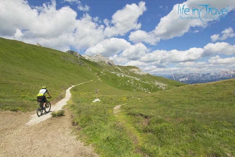 single trail odle