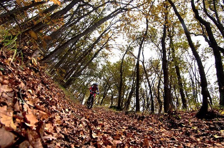 MTB ai sassi di roccamalatina