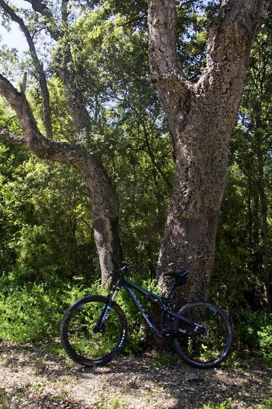 mtb sughero