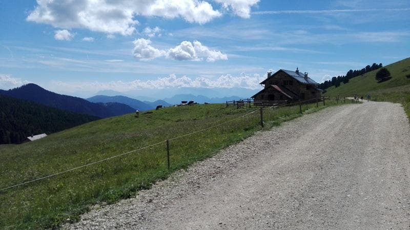 Sterrata val di Fiemme MTB