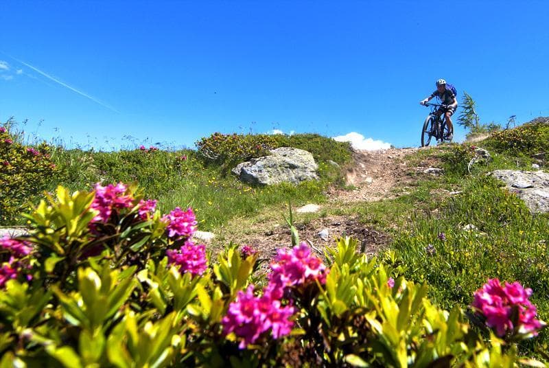 valtellina mtb valmalenco 08