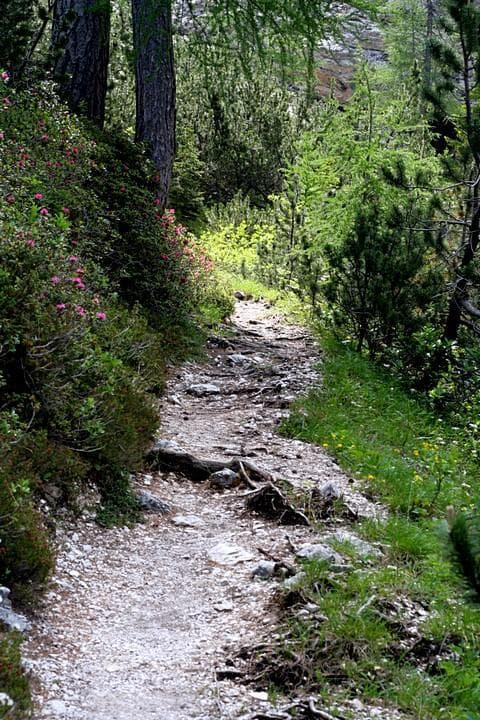 sentiero