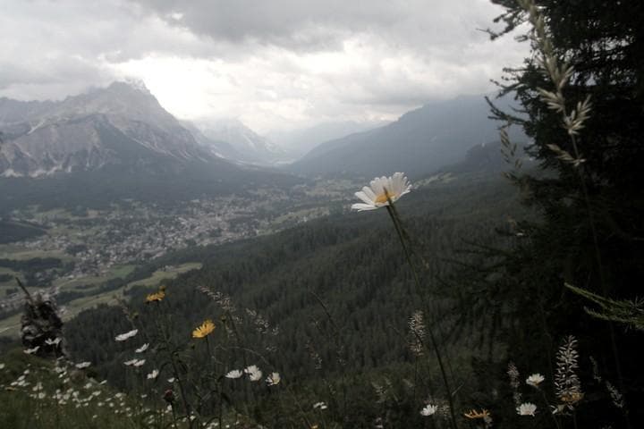 img 7242