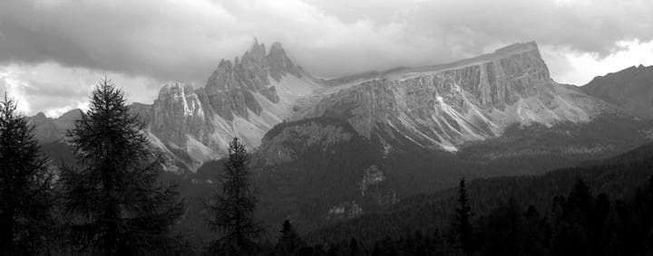 img 7311