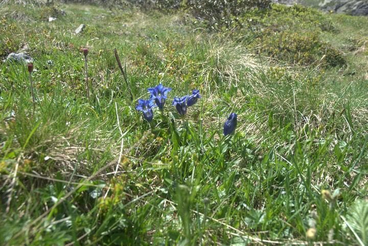 Trekking ai laghi di Valbona