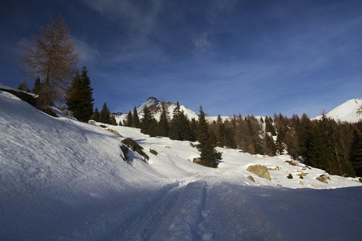 cielo blu e neve