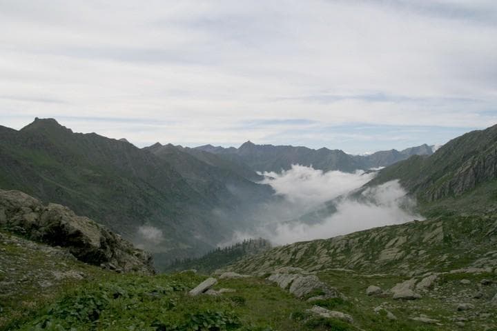 img 7420