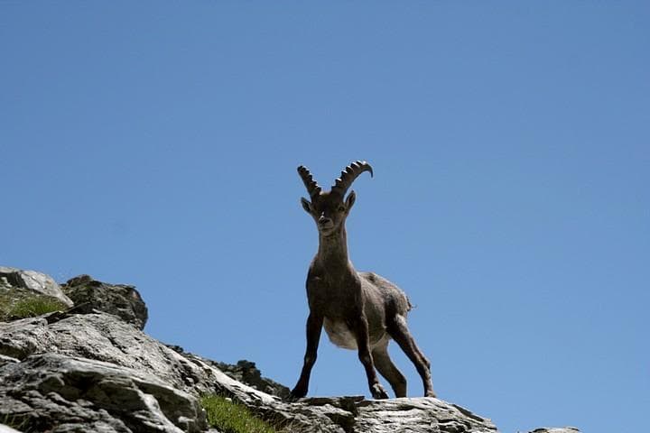 img 7570