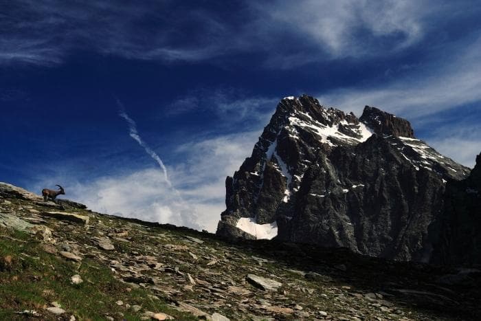 monviso