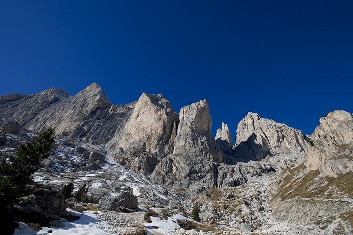 dsc 5146