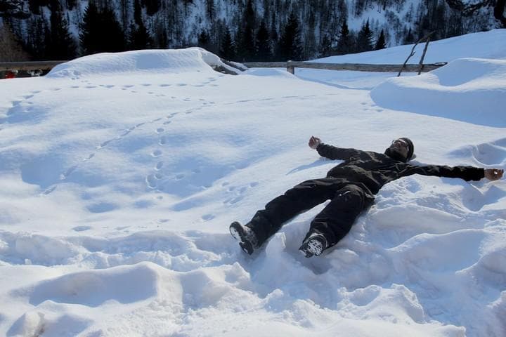 neve fresca