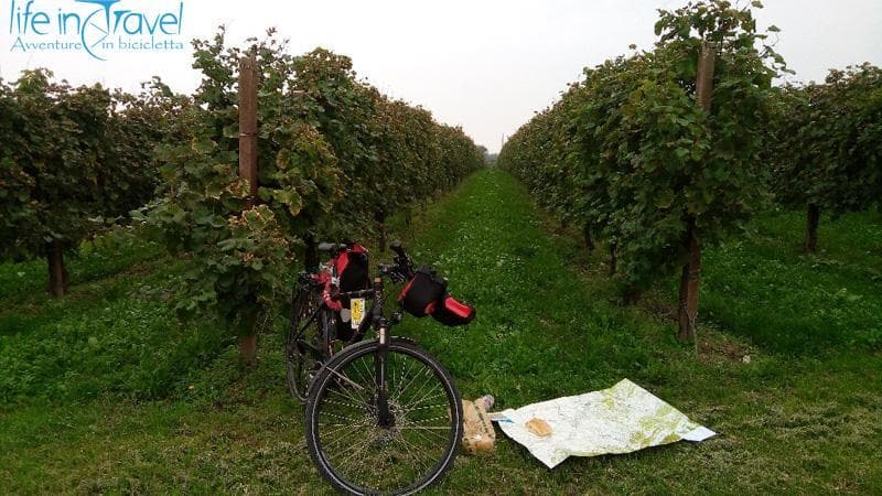 tra i vigneti in bici