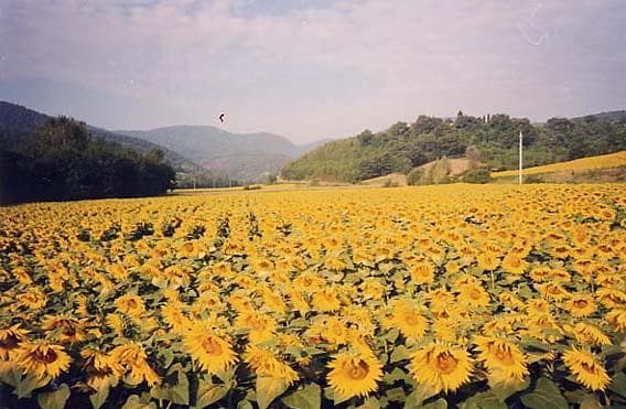 043 Toscana