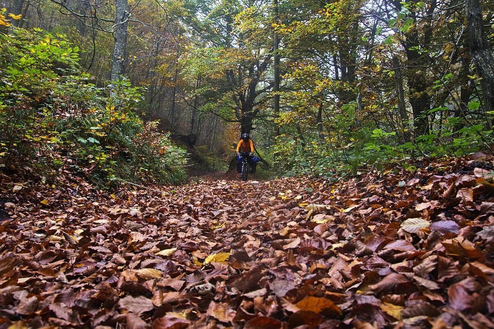 autunno-monte-fumaiolo