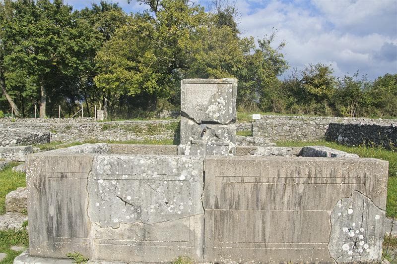 fontana del grifo
