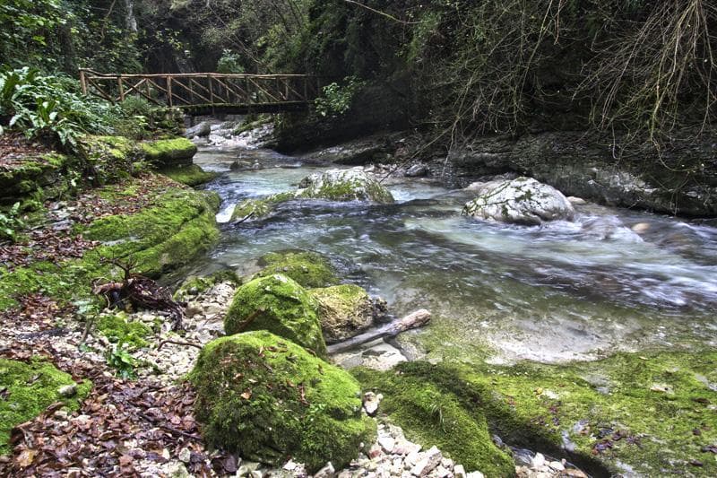 orfento