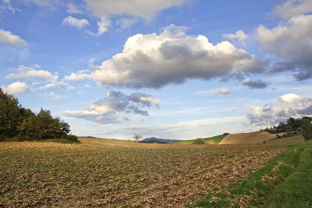 campagna-marchigiana