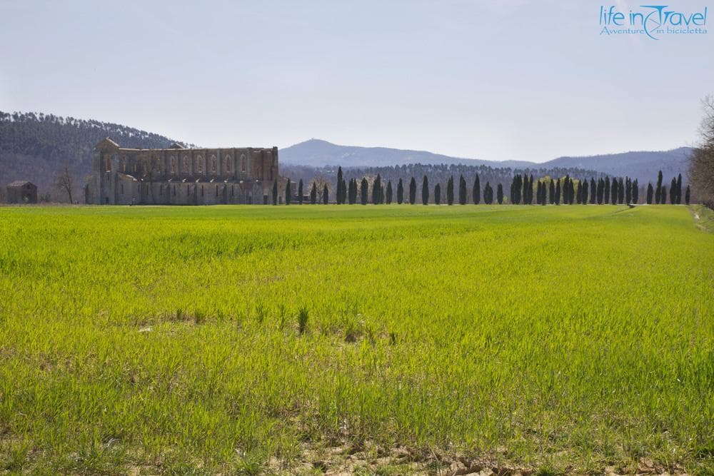 abbazia di san galgano panorama