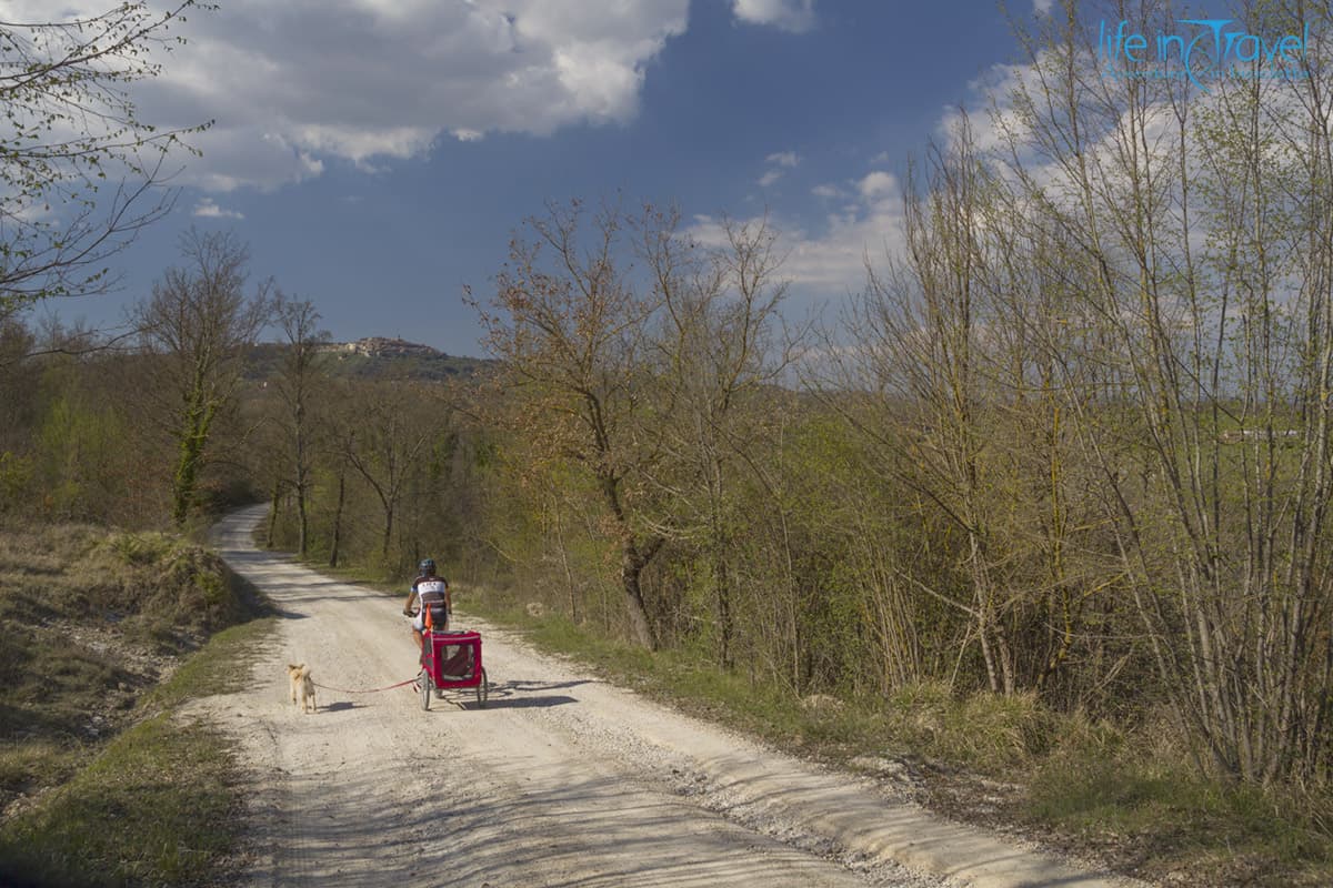 strada bianca in val di merse