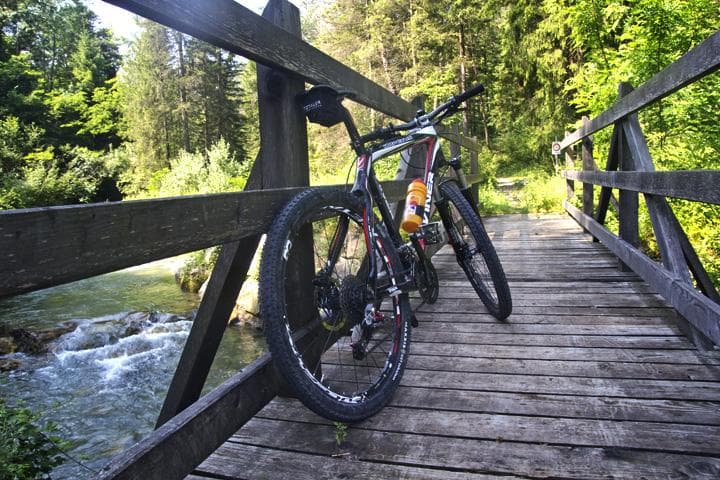 sterrato nel bosco