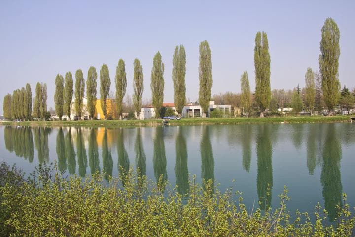 Ciclabile del Mincio