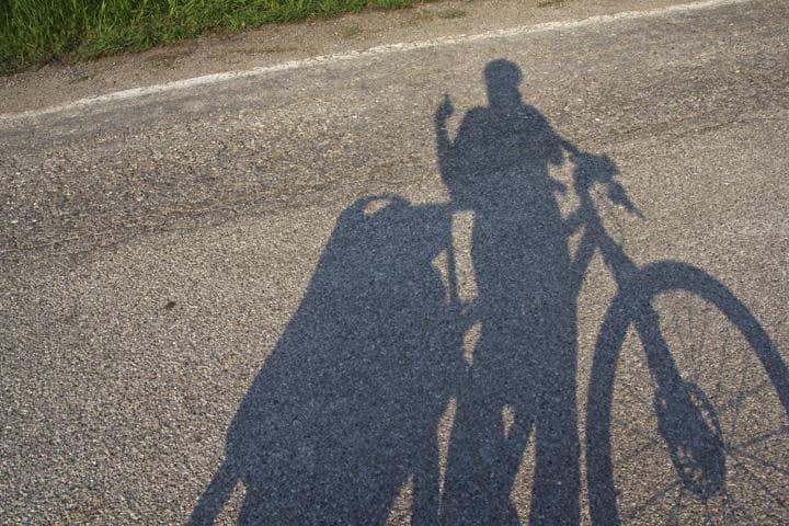 Ciclabile del Mincio Viaggiando lungo il Mincio