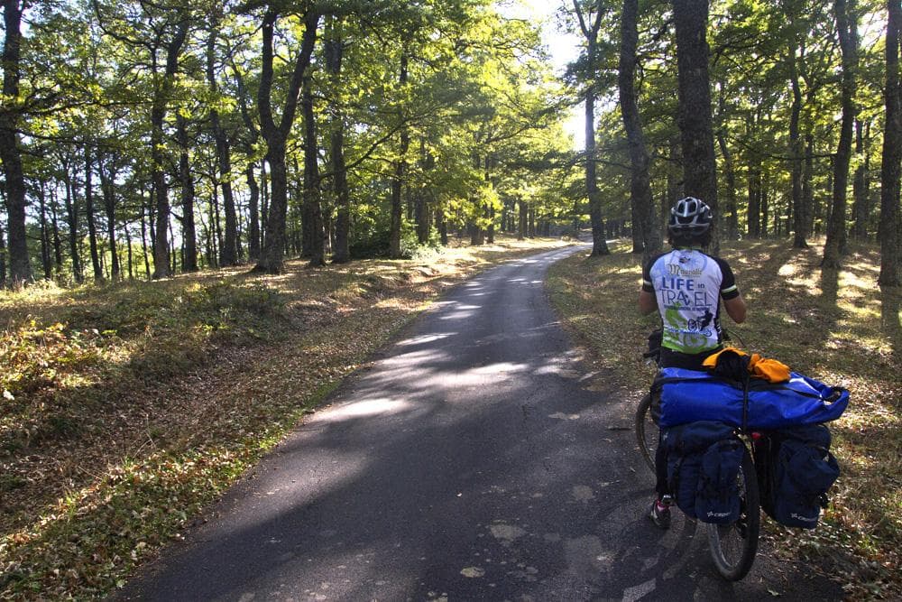 ciclovia bosco montepiano