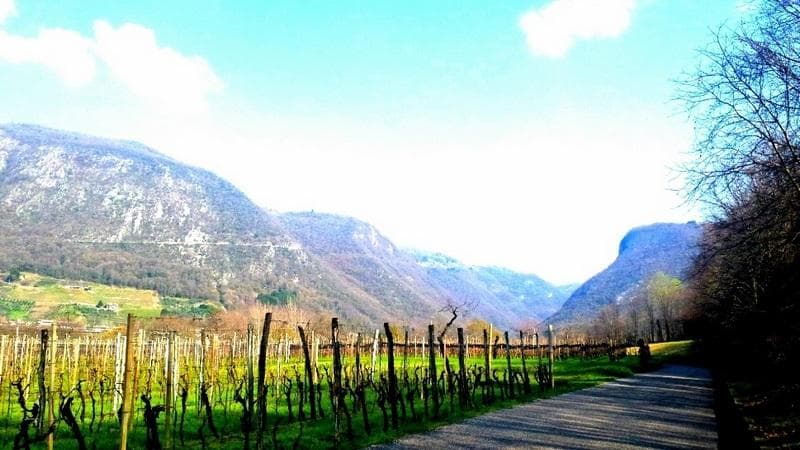 campagna e sole