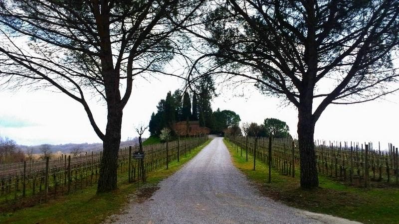 campagna fvg3