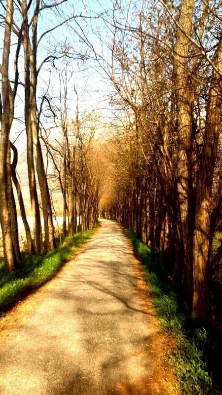 natura e bici