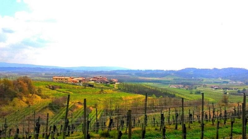 vigneti ciclabile pedemontana
