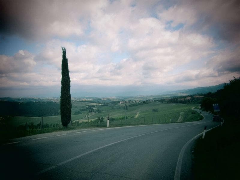 chianti fiorentino