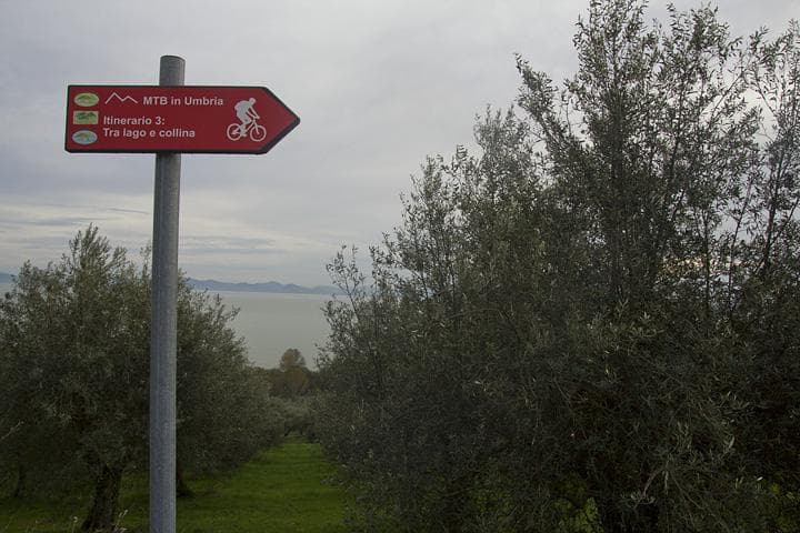 segnaletica