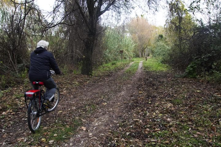 sterrato nel bosco