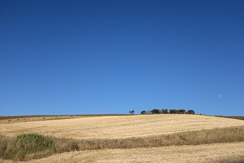 Colline coltivate