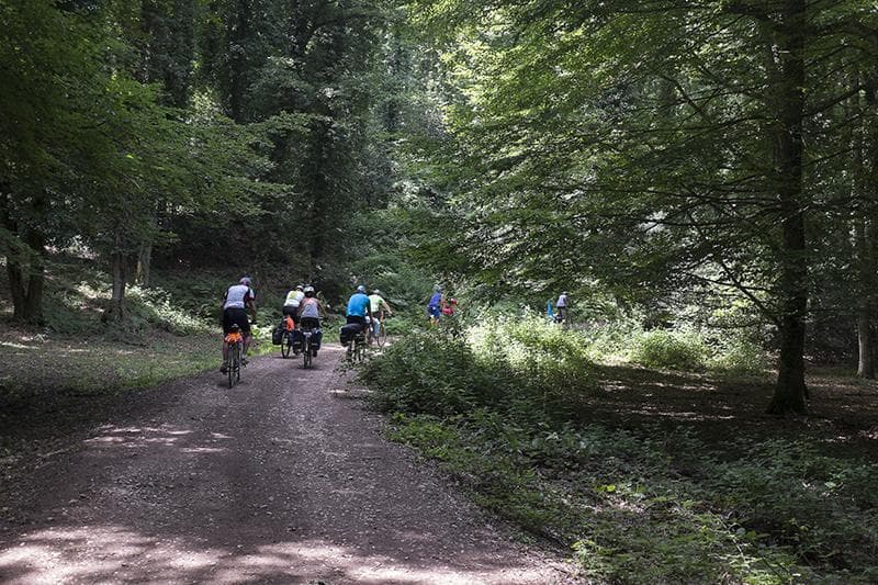 Pedalando Mesothalassia