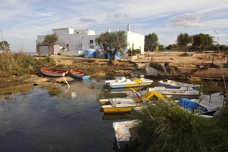 riserva naturale dune costiere
