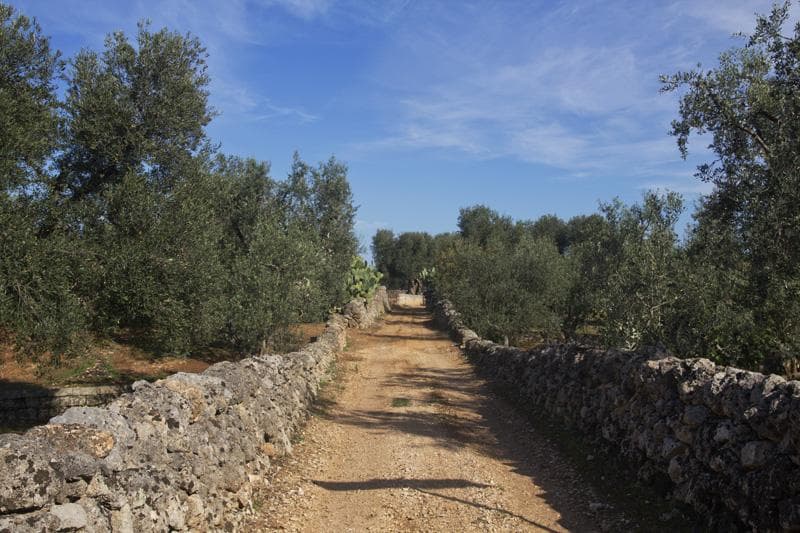 puglia in bici