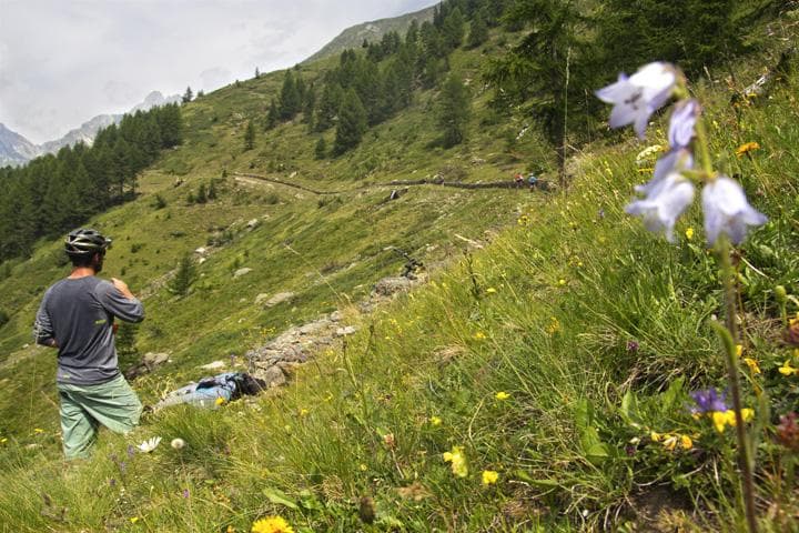 mtb d alta quota