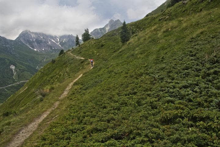 via francigena